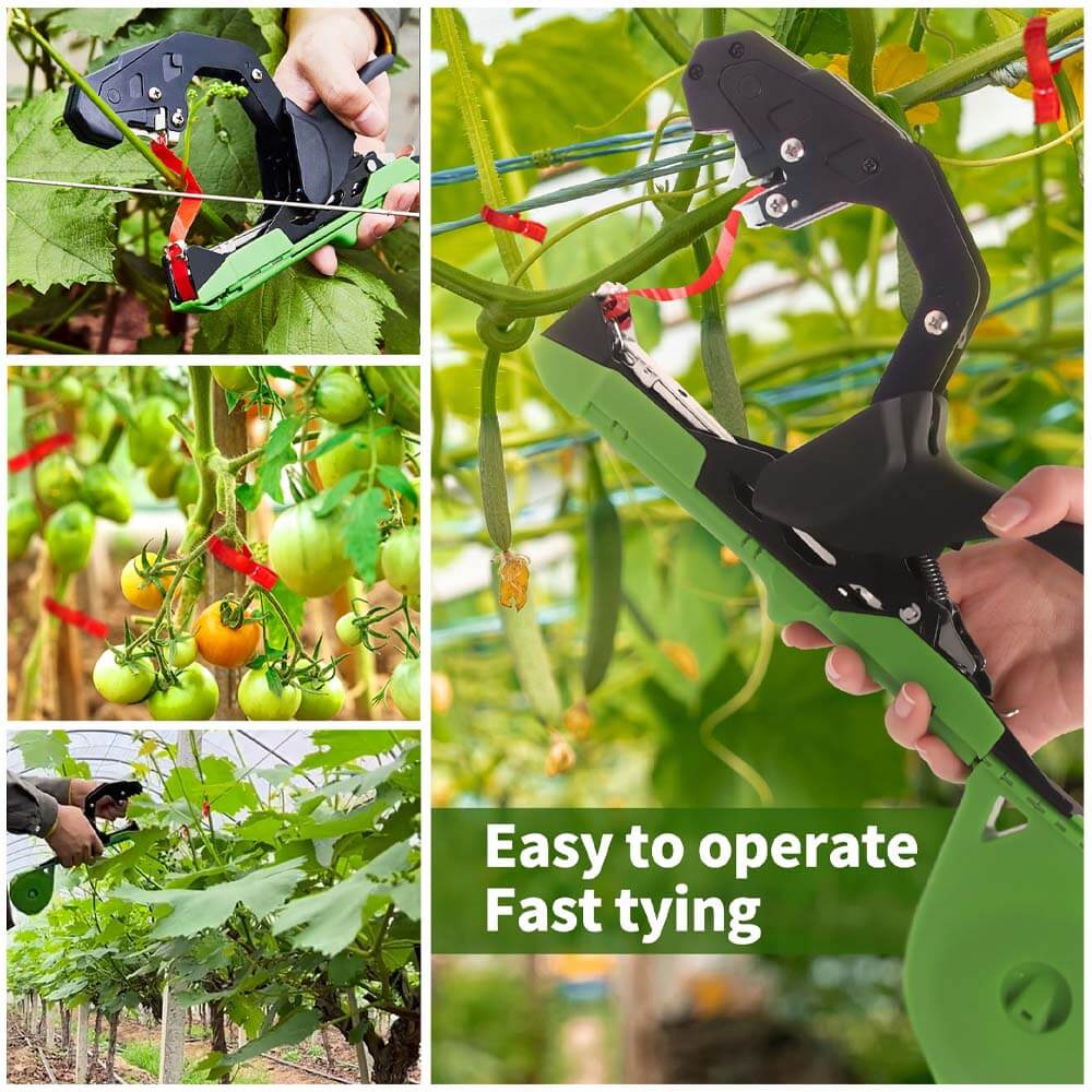Plant tying machine, upgrade binding machine for tomatoes, grape and vegetables garden - Swansoft Europe